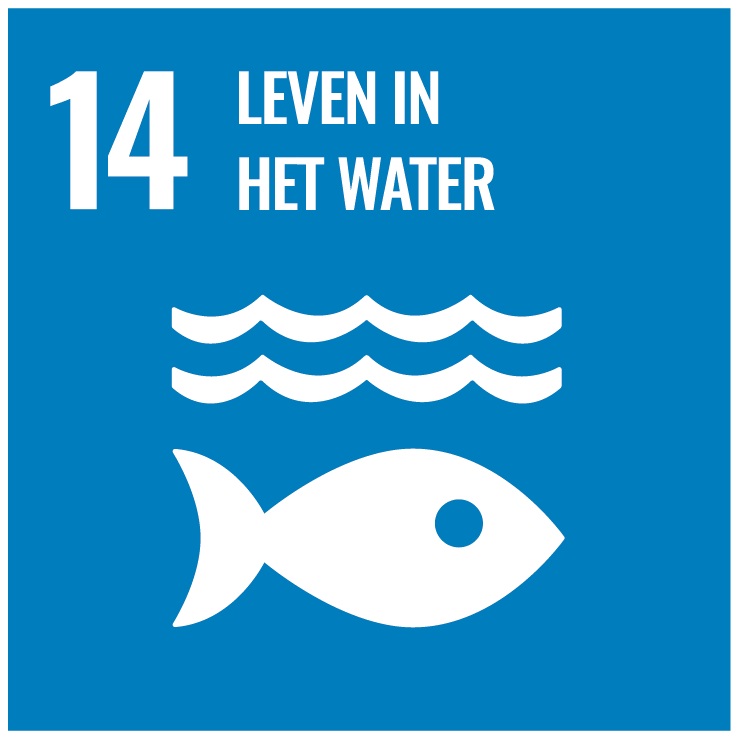 Leven in het water